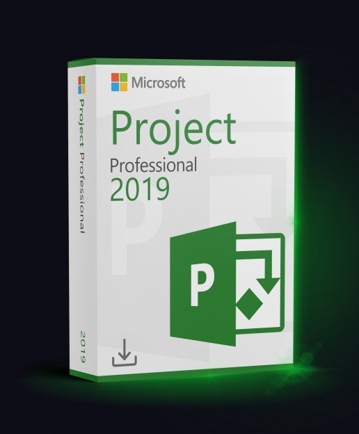 Microsoft Project Professional 2019 Project