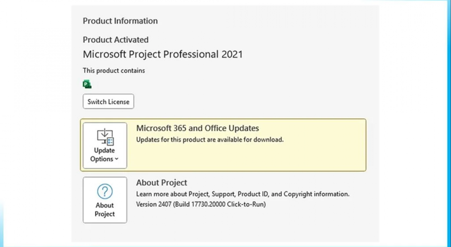 Microsoft Project Professional 2021 - 2 Microsoft Project Professional 2021 - key4gg.com - 2