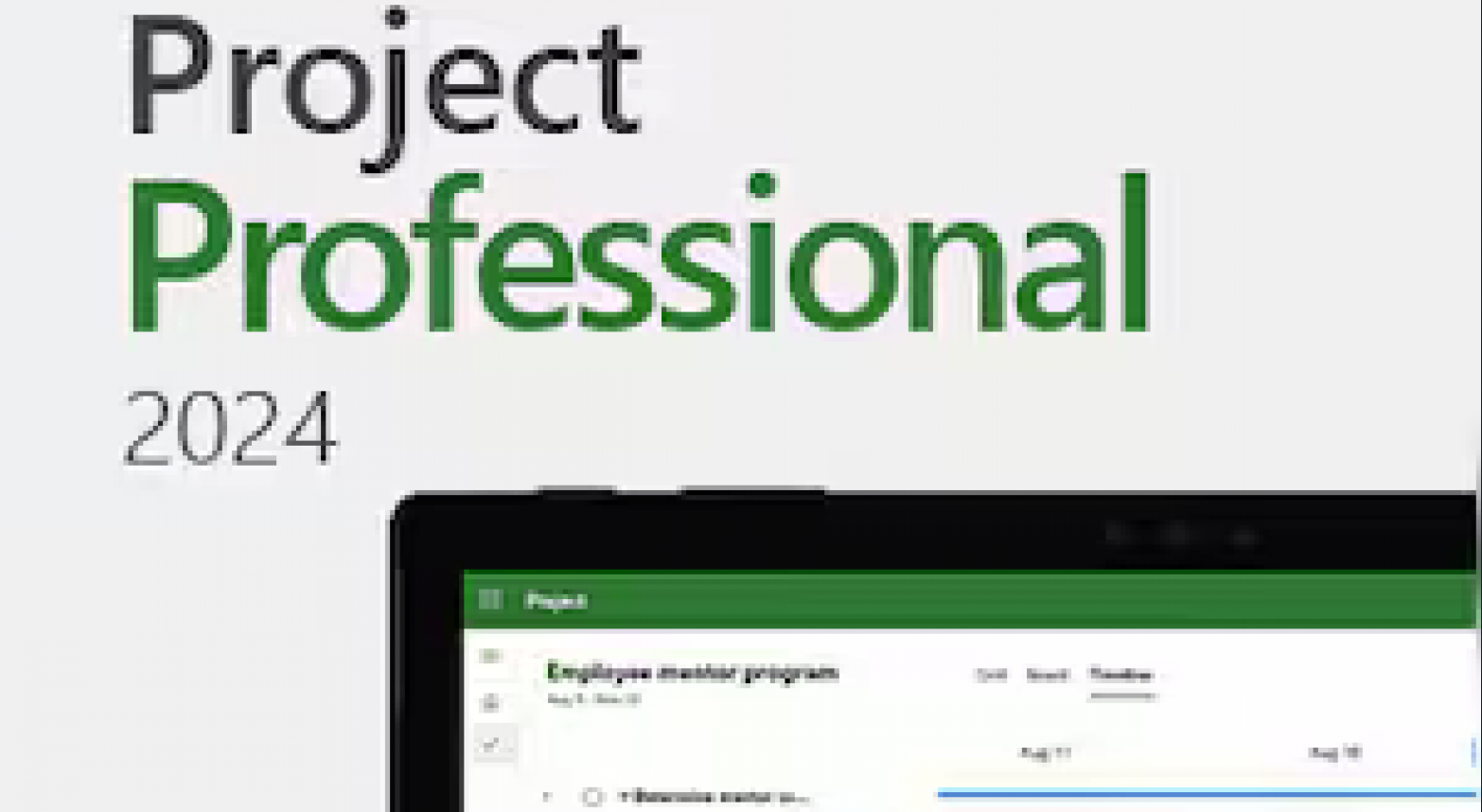 Microsoft Project Professional 2024 - 4 Microsoft Project Professional 2024 - key4gg.com - 4