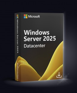 Windows Server Datacenter 2025 Server - key4gg.com