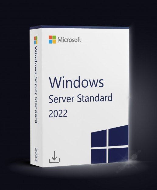 Windows Server Standard 2022 Server