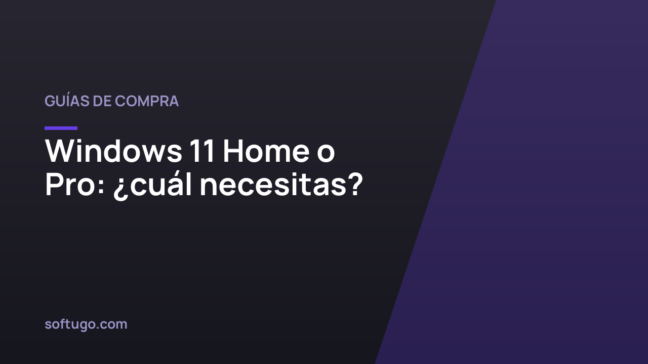 Windows 11 Home o Pro: ¿cuál necesitas?